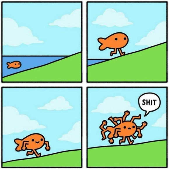 Everything must go! - Picture 7 of 8